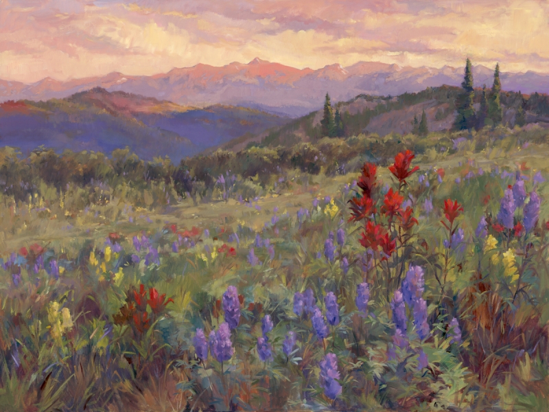 Indian Paintbrush Sunset - Shrine Mountain