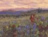 Indian Paintbrush Sunset