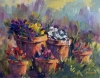 Flower Pots